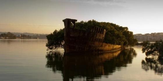 4-the-remains-of-the-ss-ayrfield-in-homebush-bay-australia